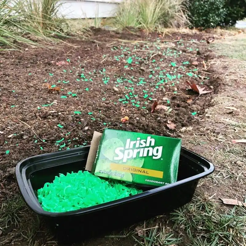 Soap Shavings for Deer