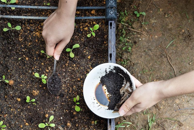 Soil Aeration