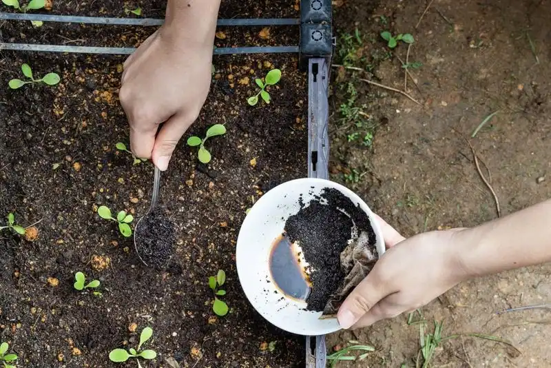 Soil Aeration