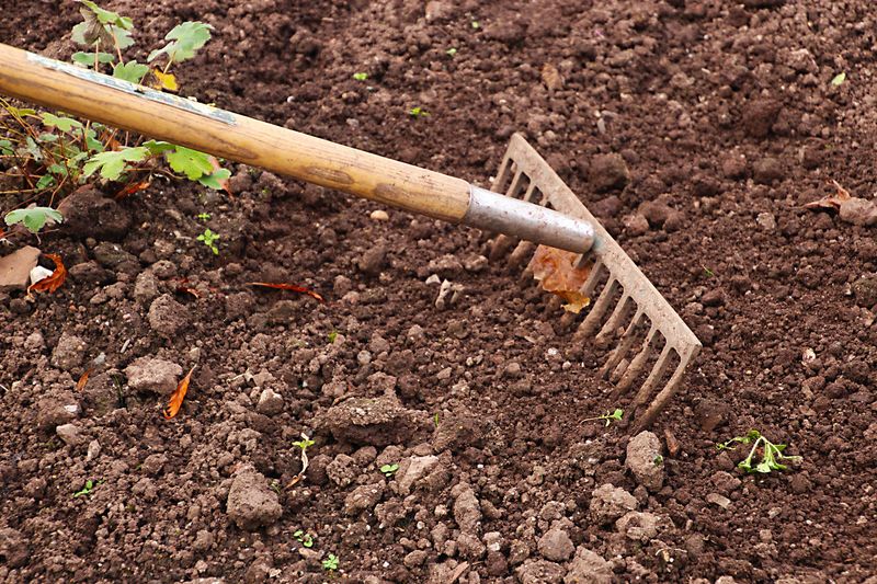 Soil Compaction Concerns