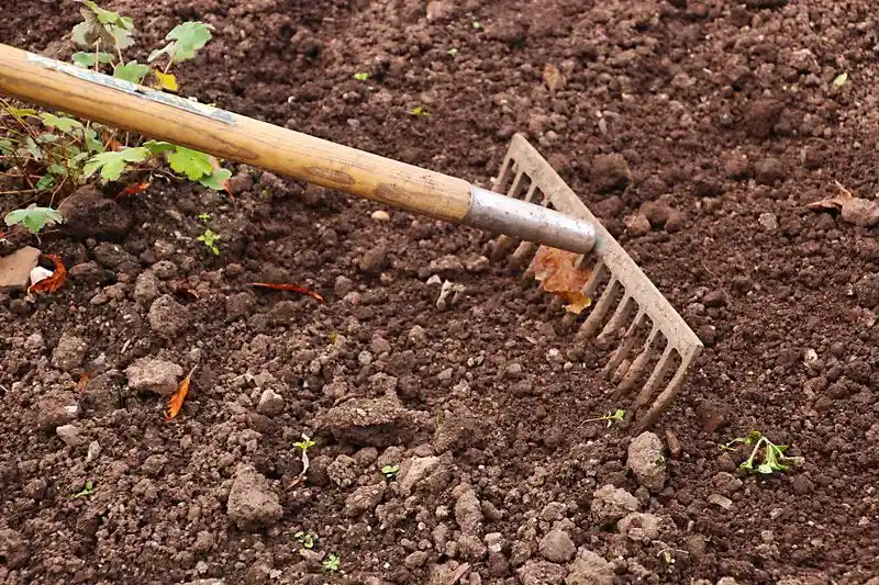 Soil Compaction Concerns
