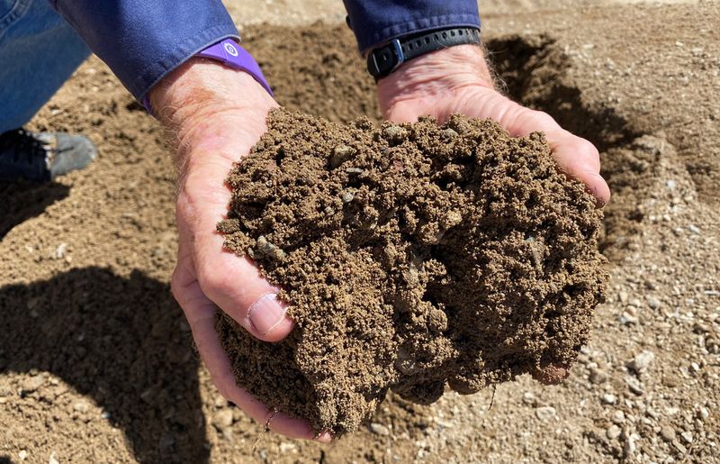 Soil Compaction