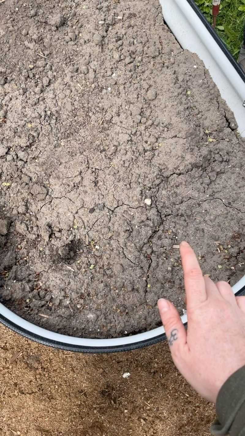 Soil Crusting