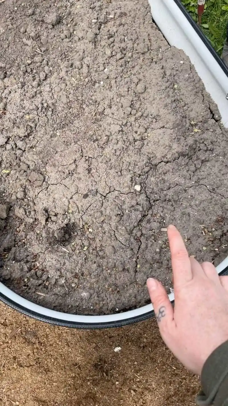 Soil Crusting