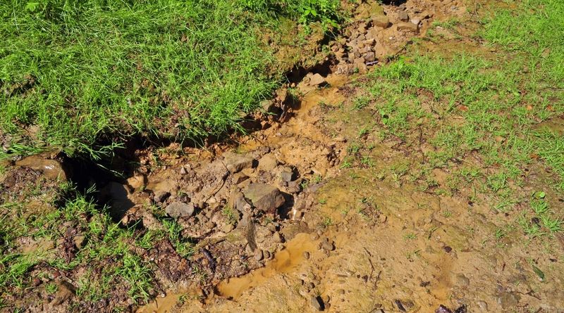 Soil Erosion Issues