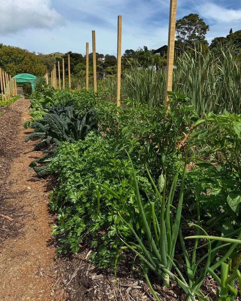 Soil Health Focus