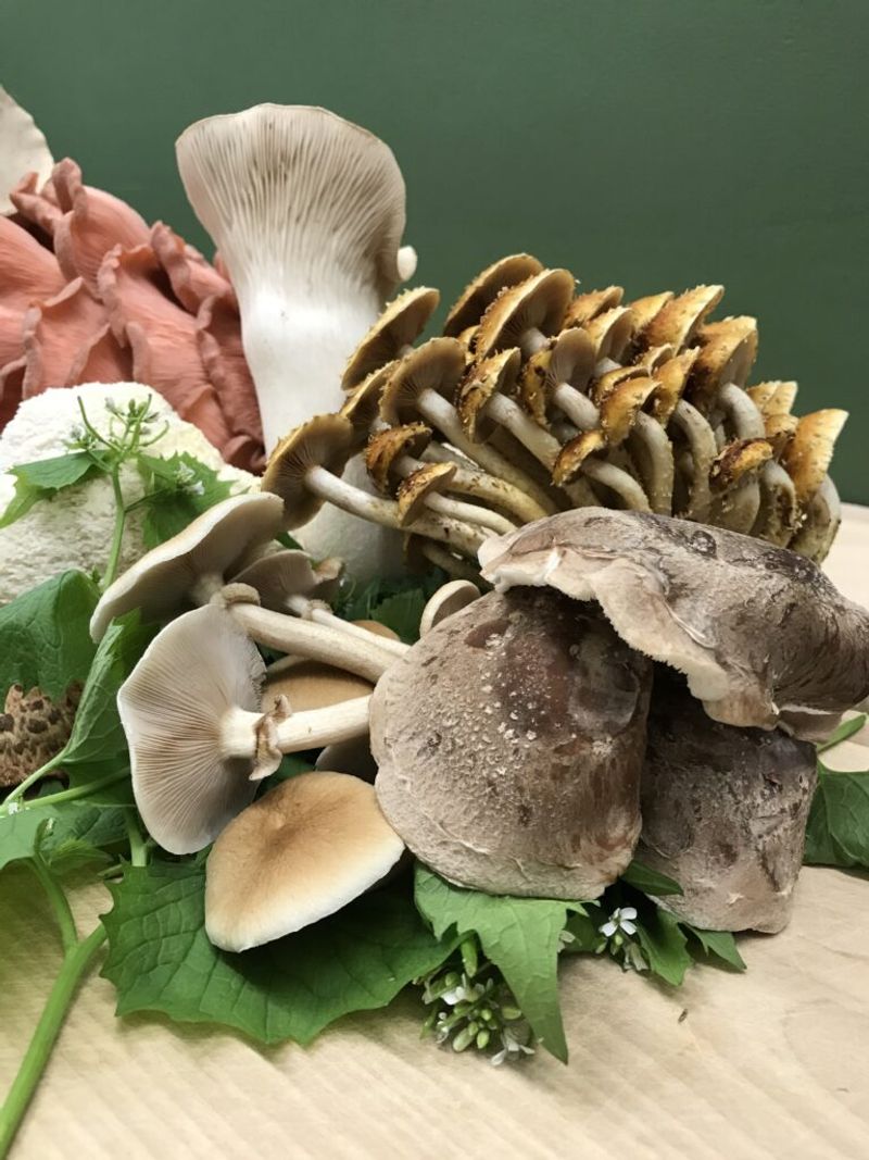 Soil Health Heroes