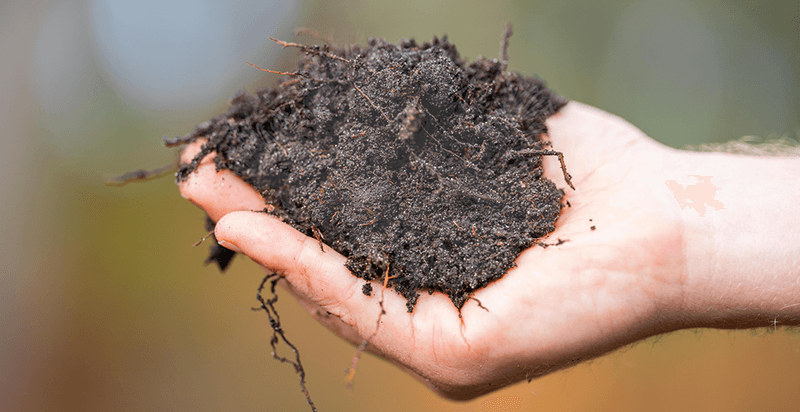 Soil Structure Improvement