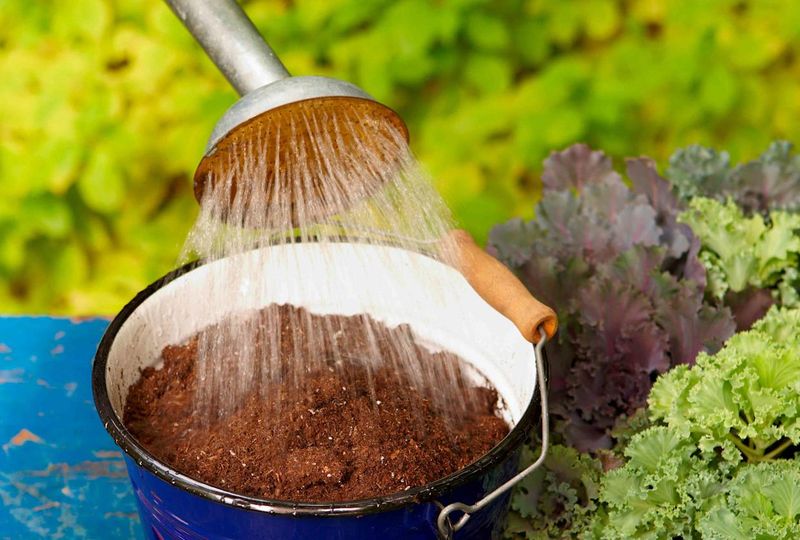 Soil's Water Retention Magic