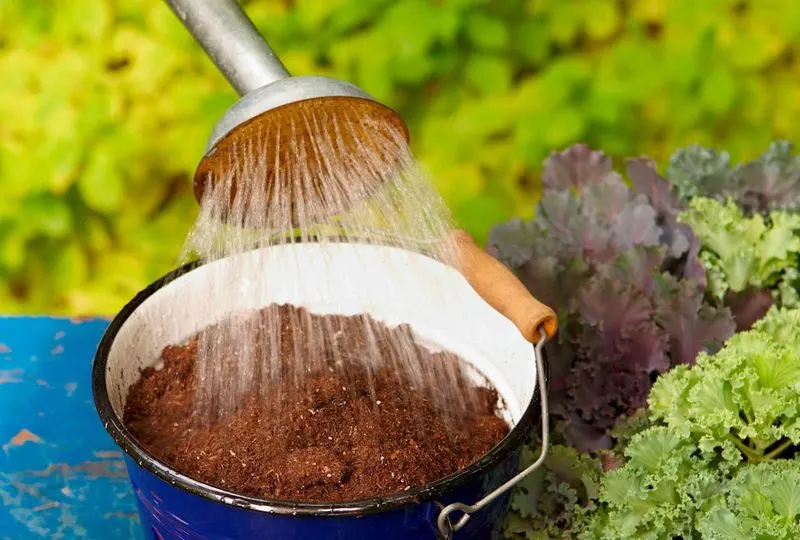 Soil's Water Retention Magic