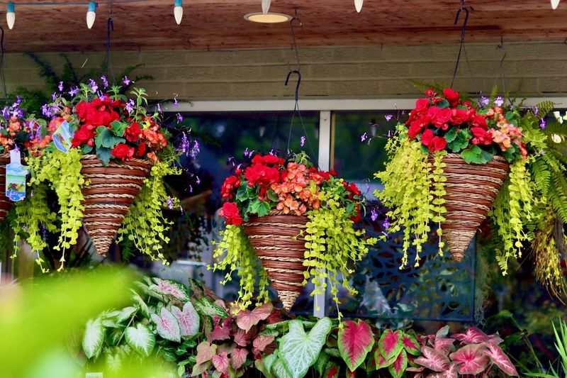 Spice Rack Succulent Garden