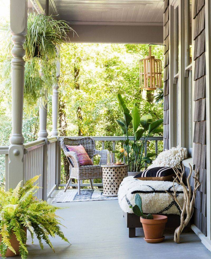 Spider Plant and Boston Fern