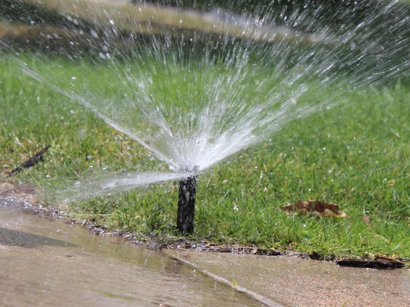 Sprinkler System Issues