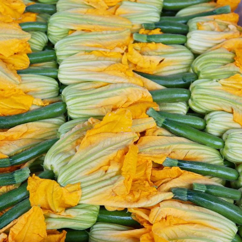 Squash Blossom