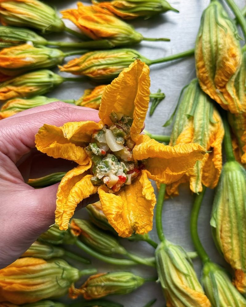 Squash Blossoms