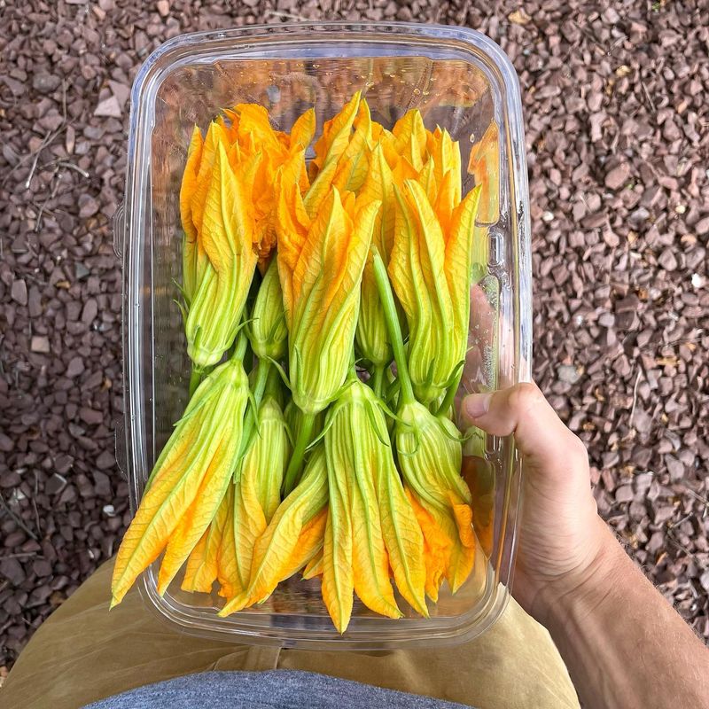 Squash Blossoms