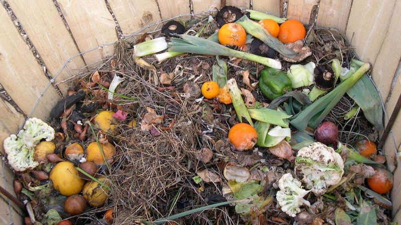 Start a Compost Pile