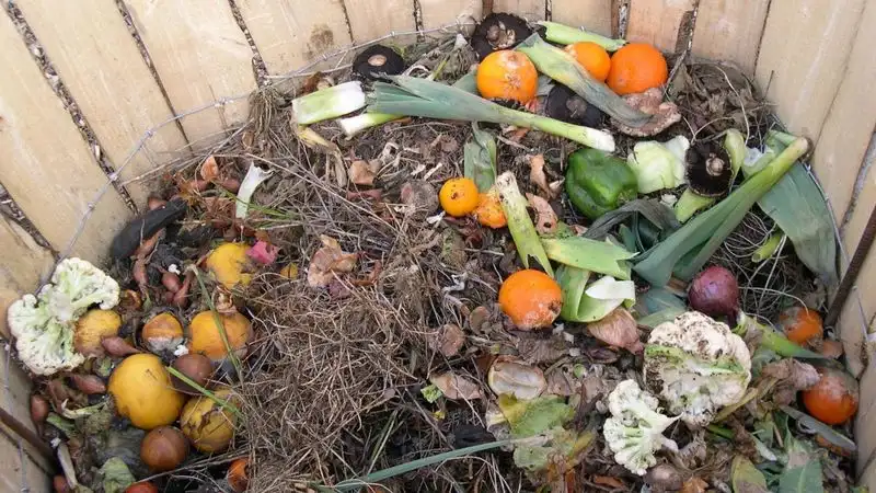 Start a Compost Pile