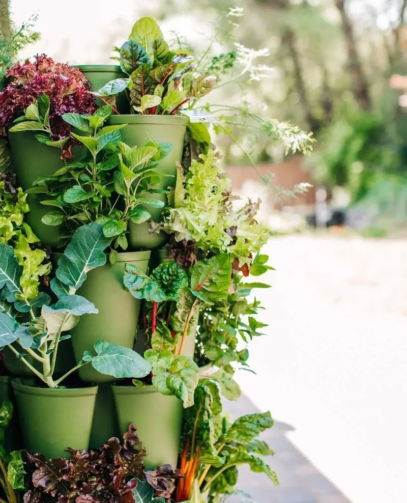 Step 2: Select the Right Plants