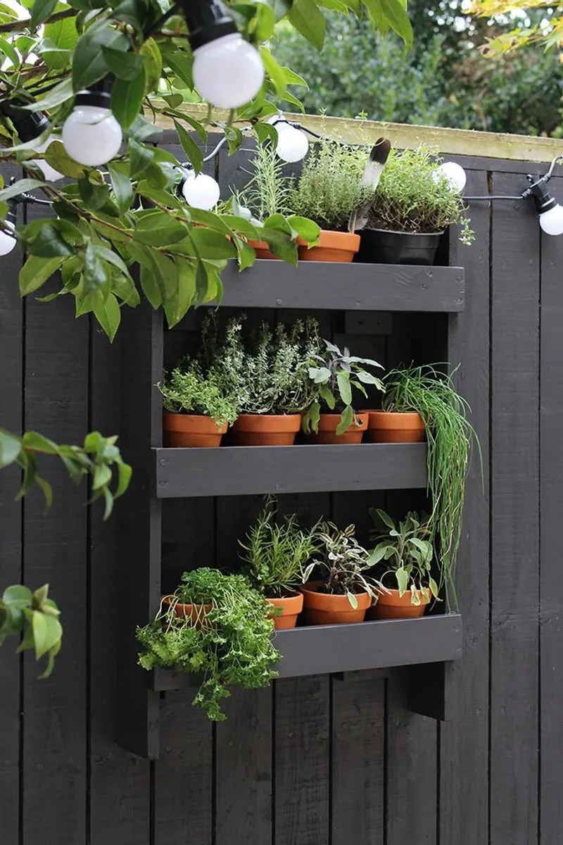 Step 6: Arrange Plants Thoughtfully