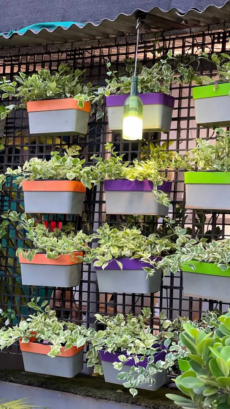 Step 9: Personalize Your Space