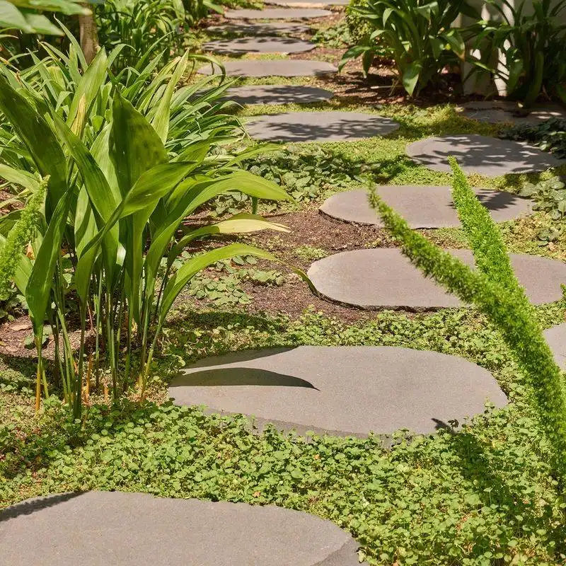 Stepping Stone Path