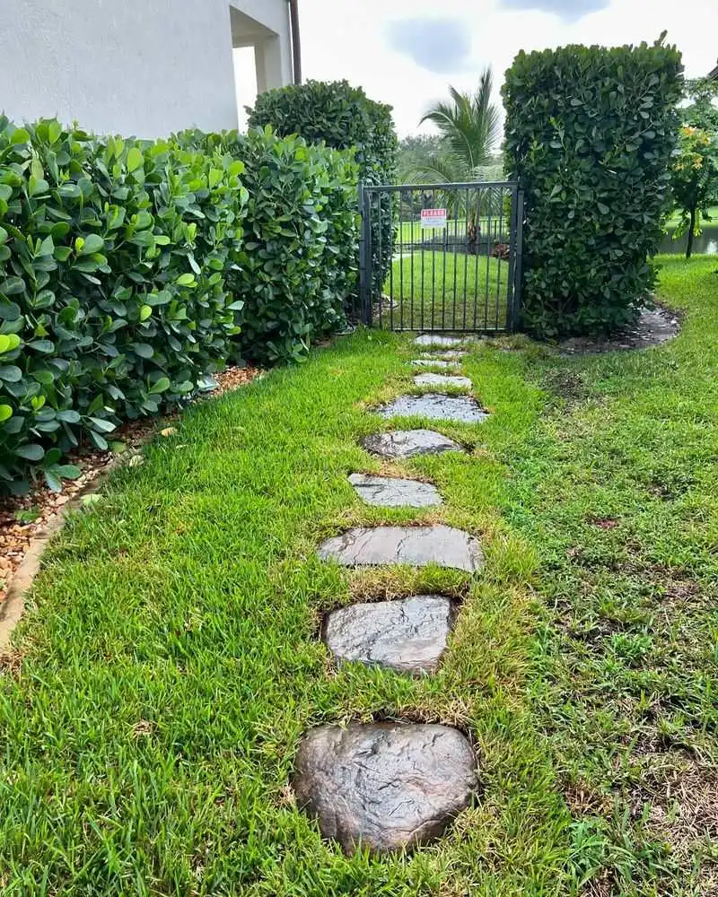 Stepping Stone Path