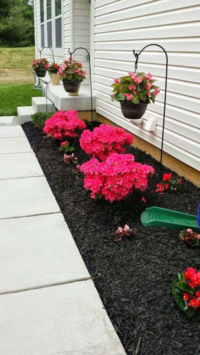 Mulch Magic
