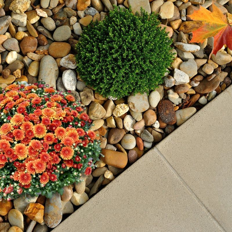 Stone or Gravel