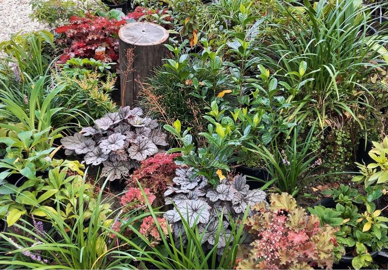 Strategic Plant Grouping