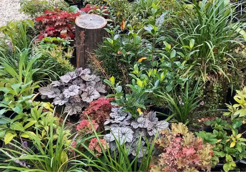 Strategic Plant Grouping