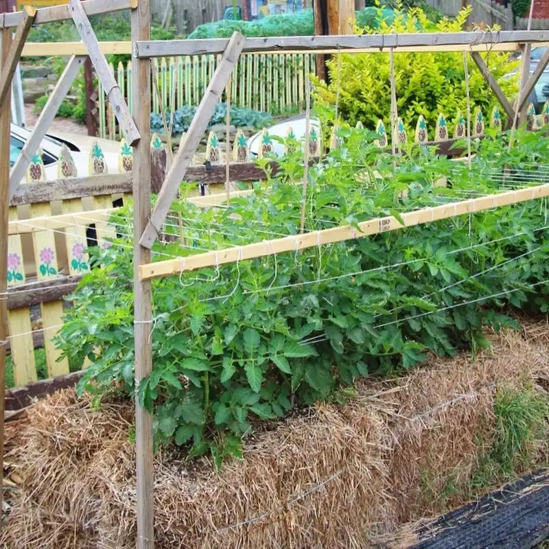 Straw Bale Gardening