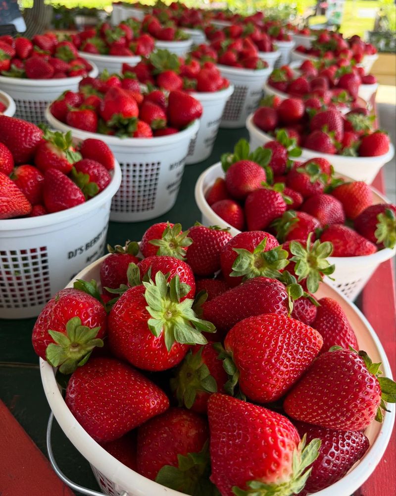 Strawberry Seeds Are on the Outside