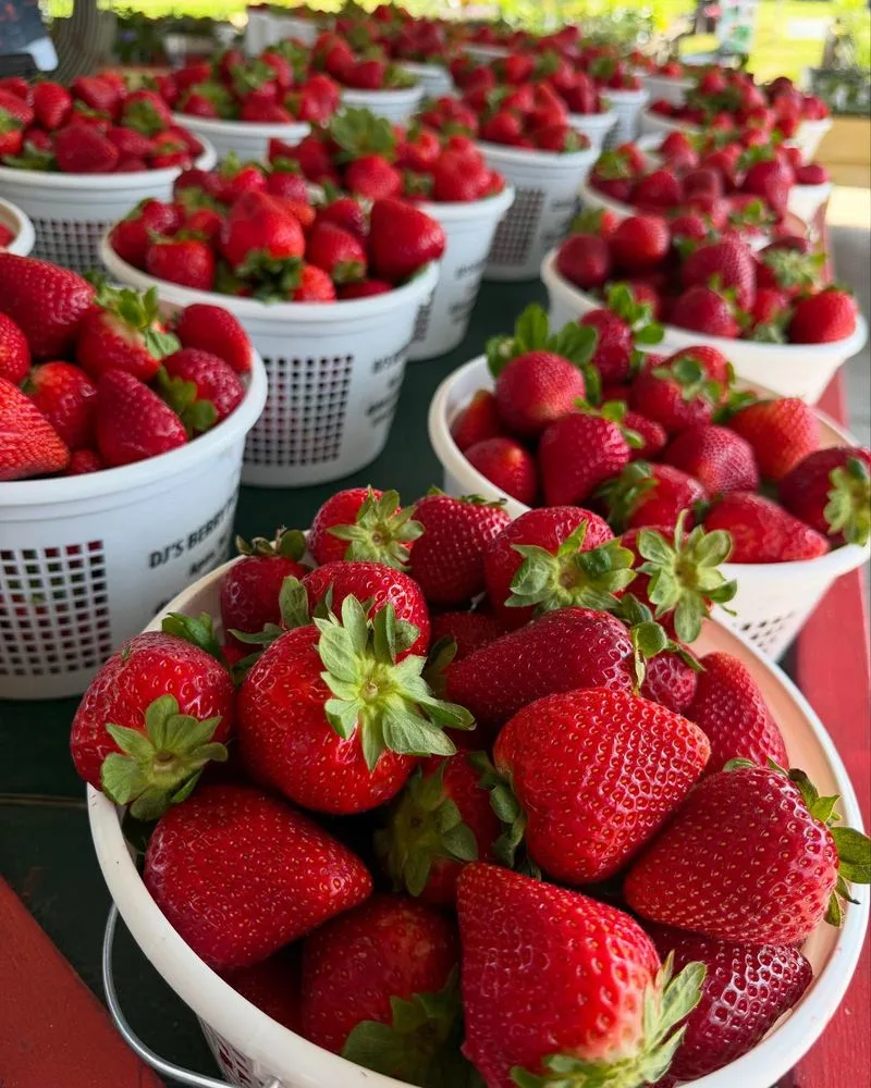 Strawberry Seeds Are on the Outside