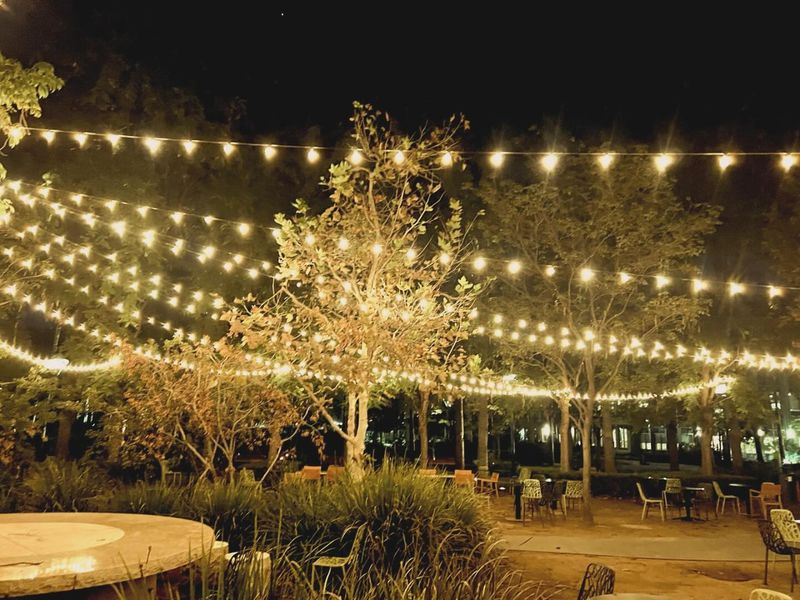 String Lights