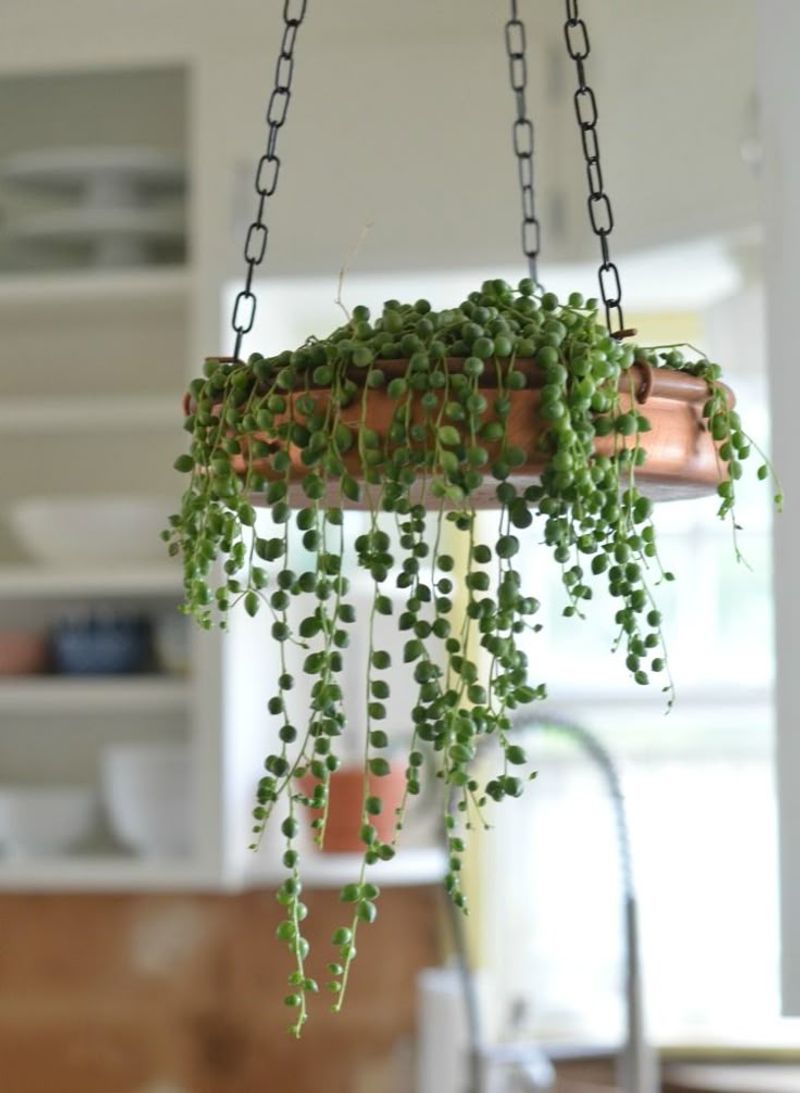 String of Pearls