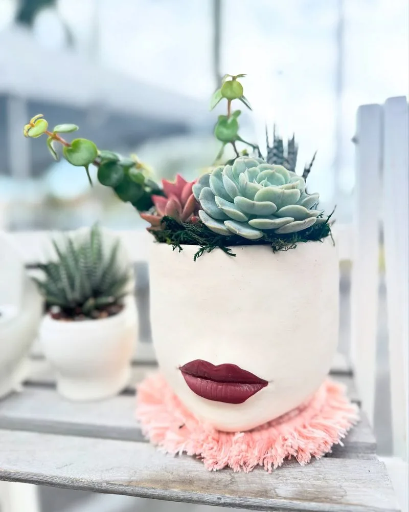 Succulent Accents