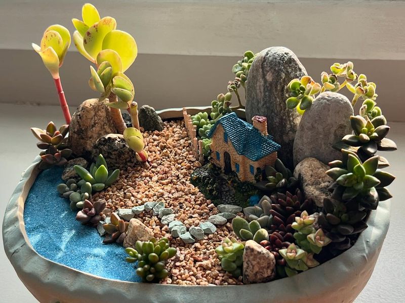 Succulent Bonsai
