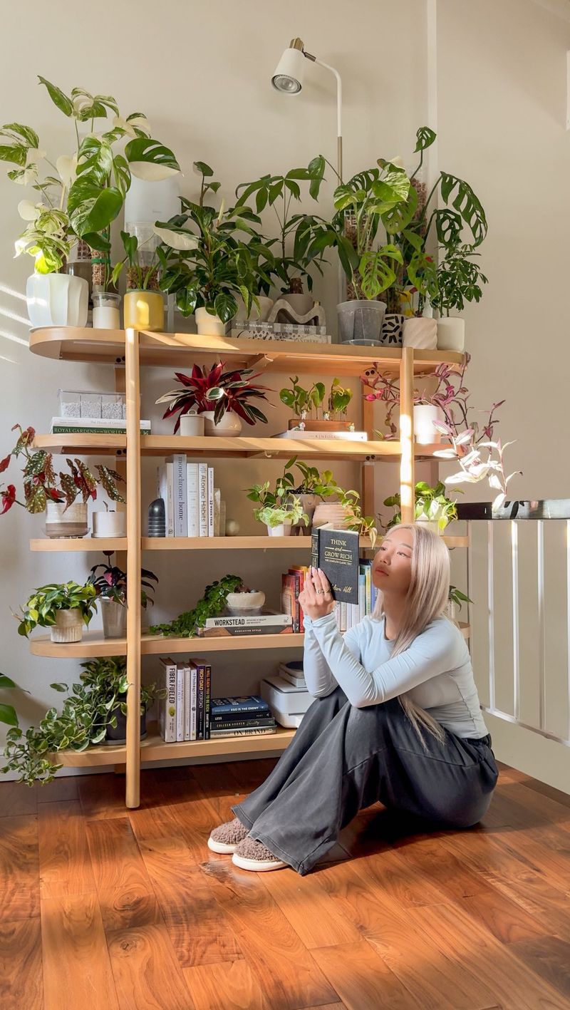 Succulent Bookcase Accents