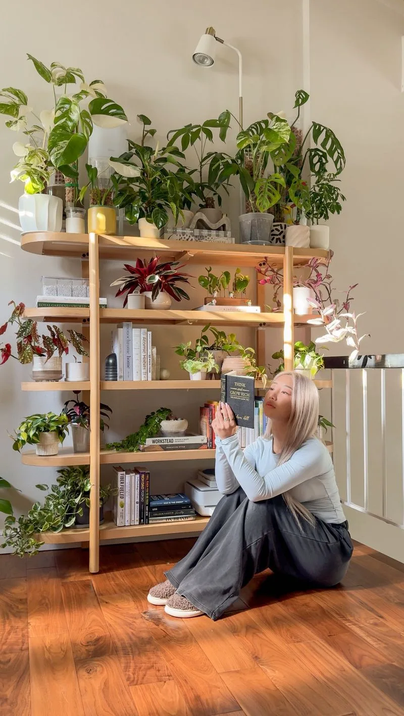 Succulent Bookcase Accents