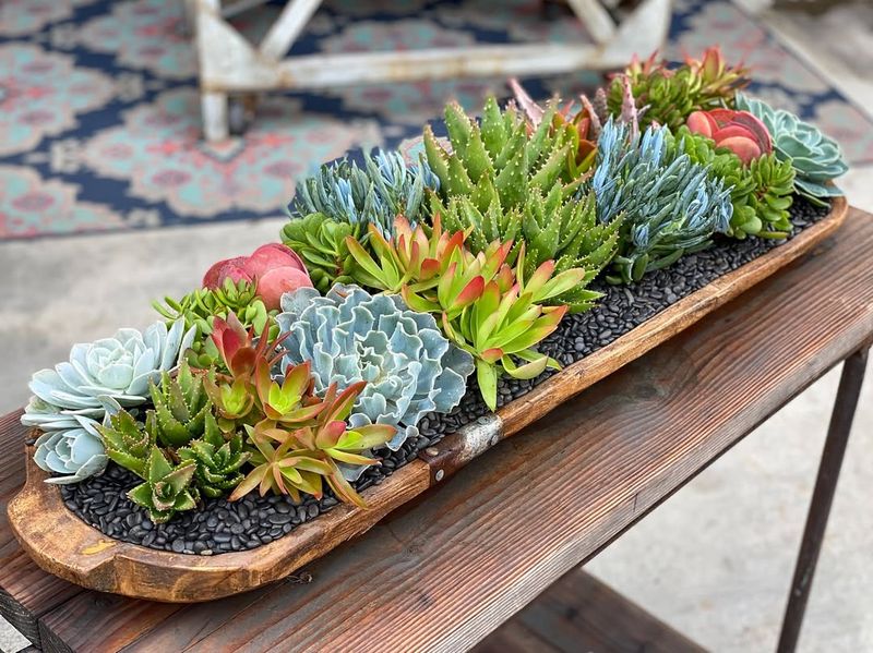Succulent Centerpieces