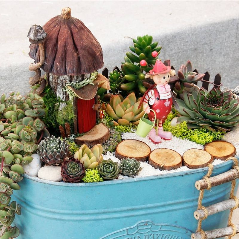 Succulent Fairy Garden