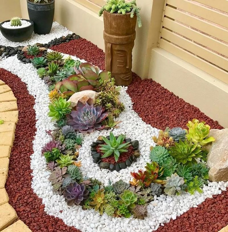 Succulent Garden