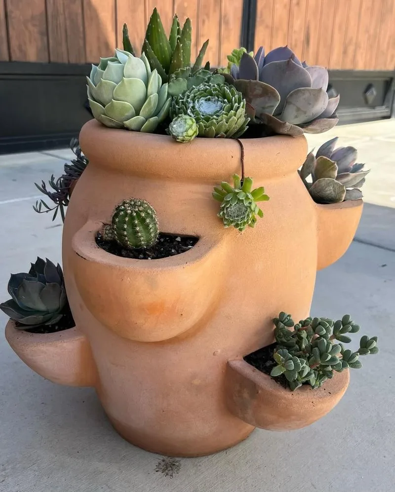 Succulent Mix