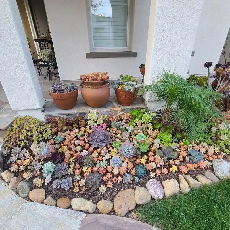 Succulent Rock Garden