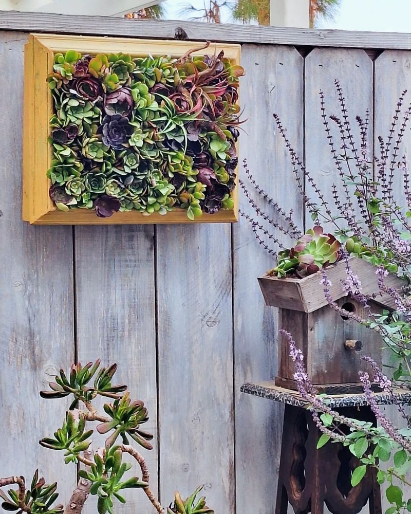 Succulent Wall Art