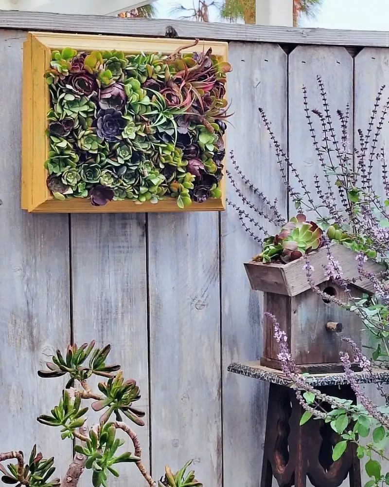 Succulent Wall Art