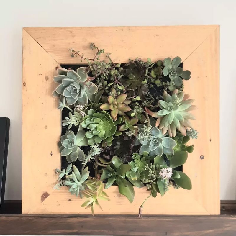 Succulent Wall Art