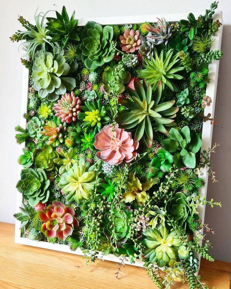 Succulent Wall Art