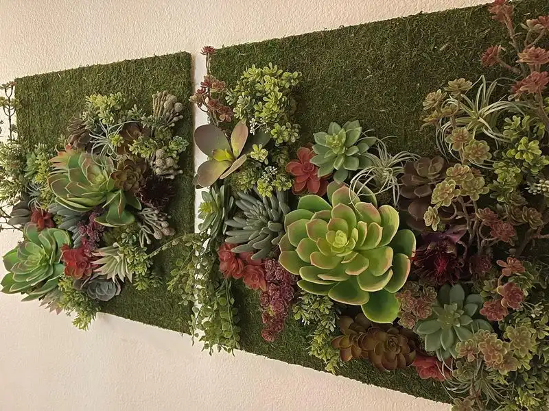 Succulent Wall Art